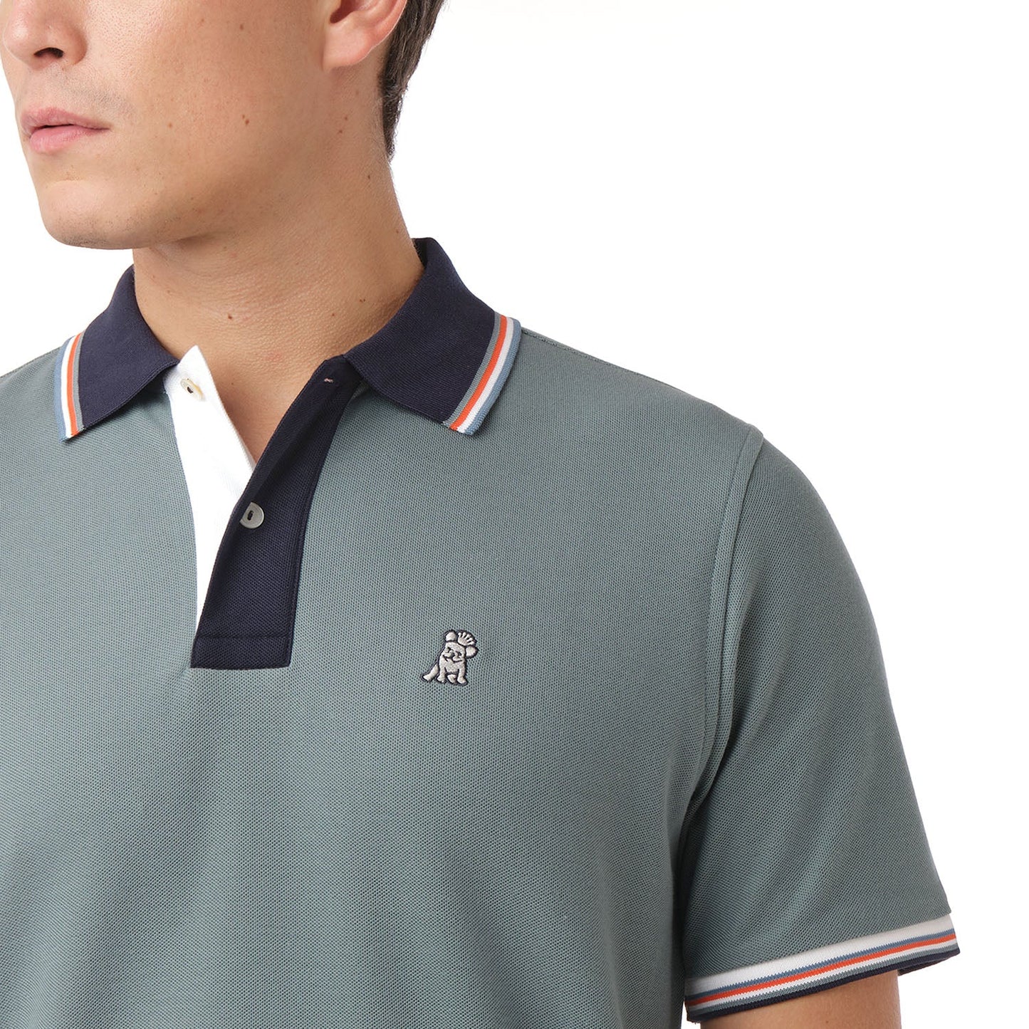 POLO JAMES BARK POSITANO GOBLIN BLUE A221