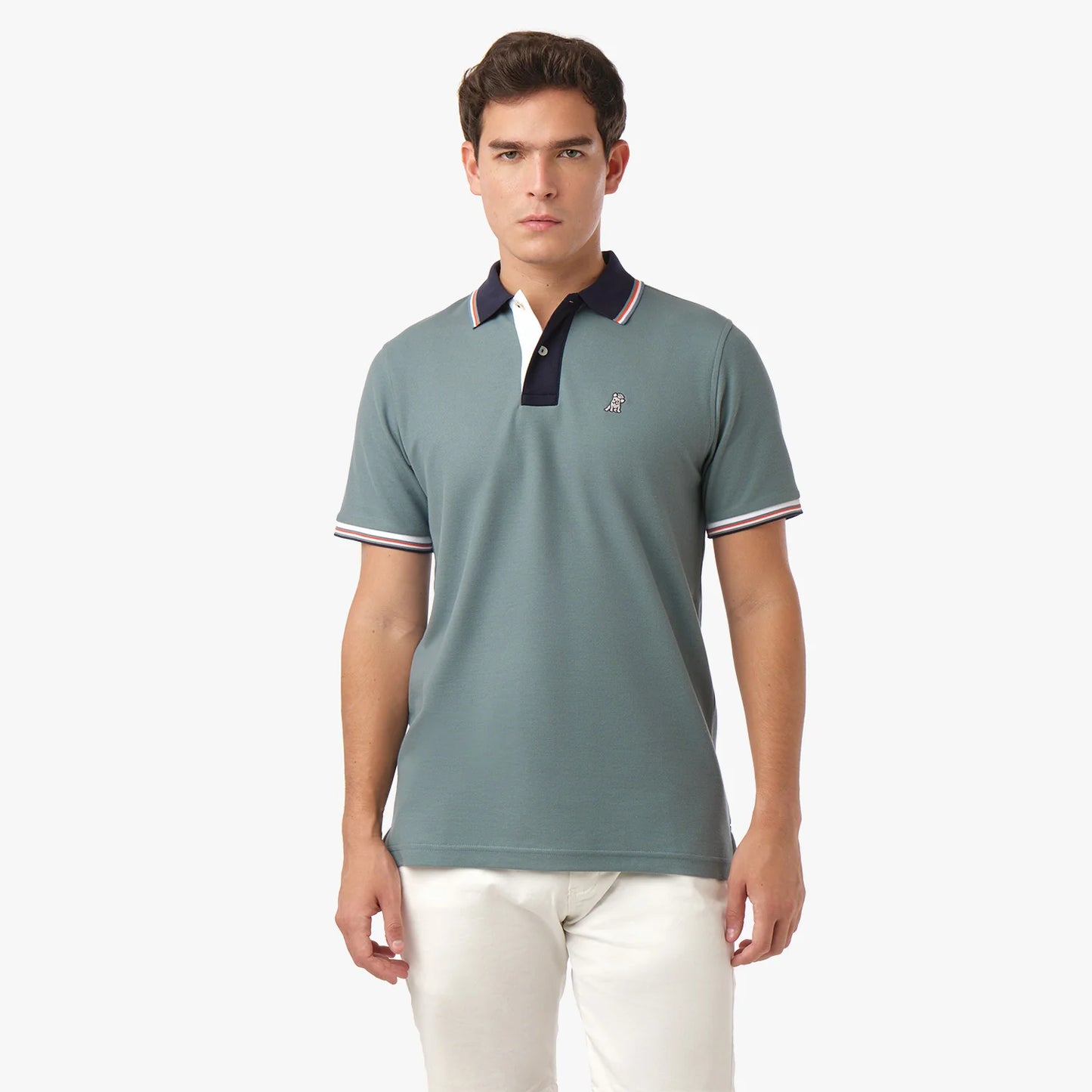 POLO JAMES BARK POSITANO GOBLIN BLUE A221